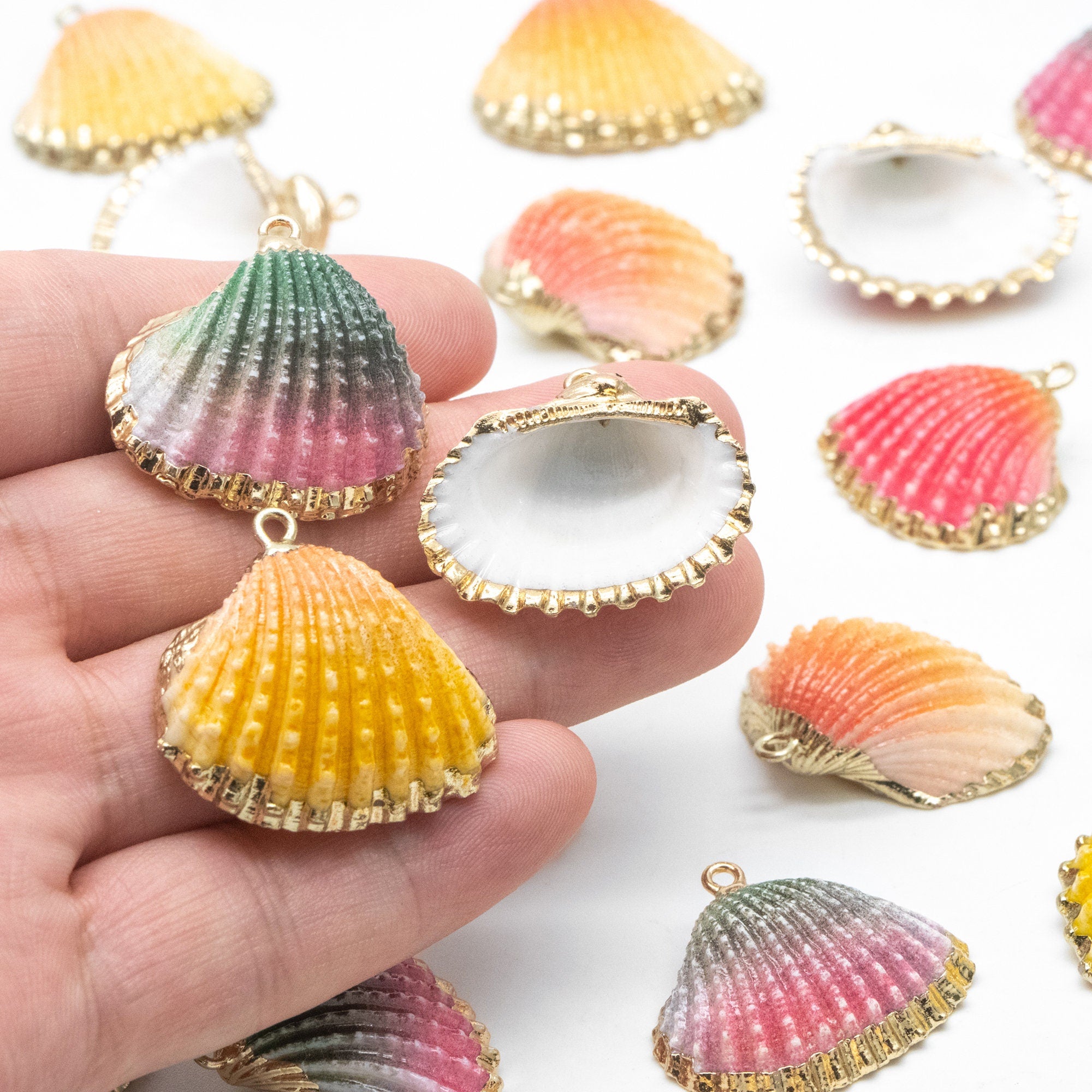 10pcs Natural Shell Charms, Gold plated Shell Pendants, Beach Theme Jewelry Supplies (#V1389)